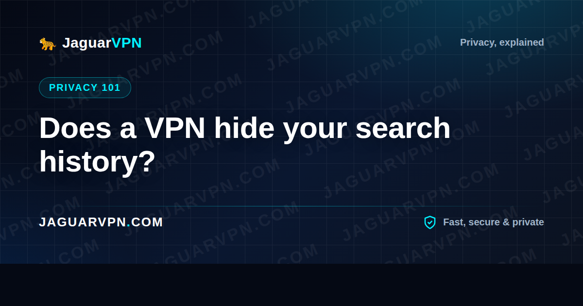 Does a VPN hide your search history?